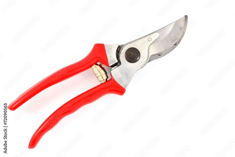 Red garden secateurs Red garden secateurs