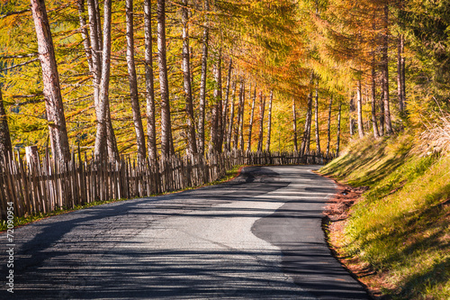 Autumn road photo