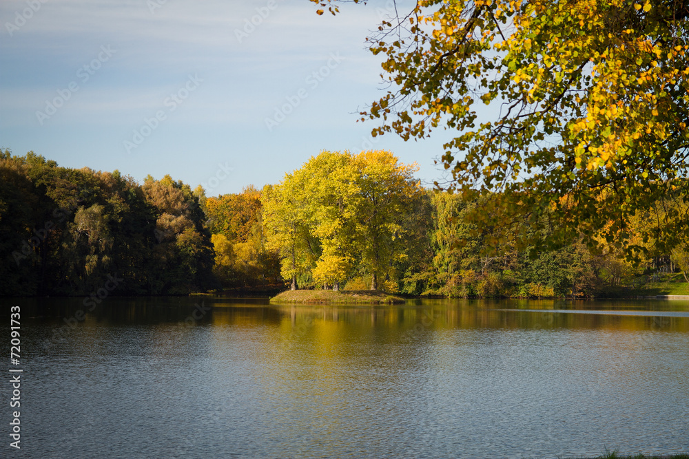 everything was yellow in the fall. everything was yellow in the fall.