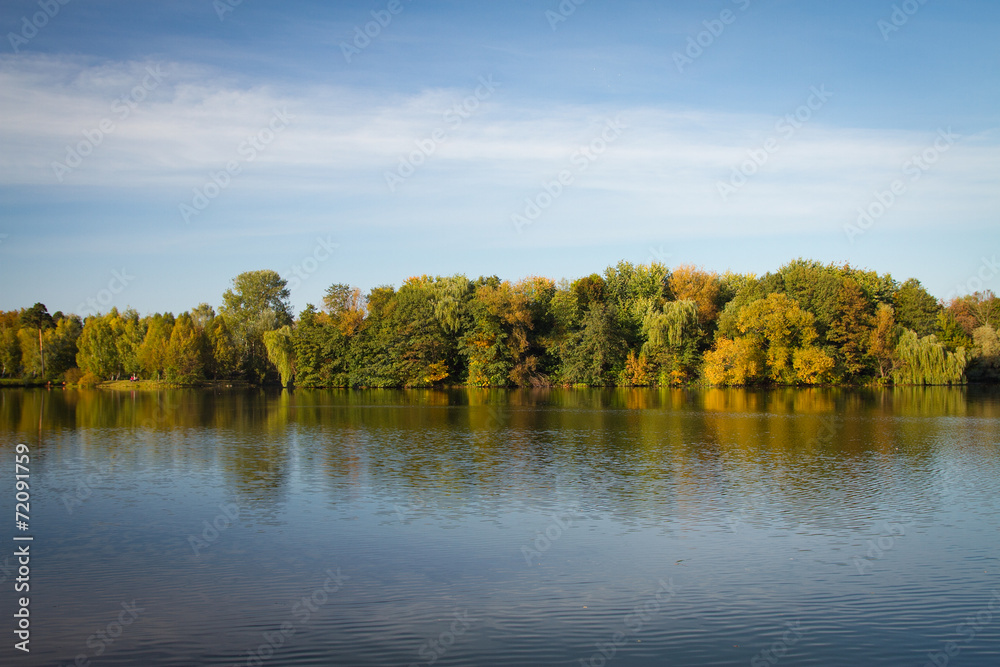 everything was yellow in the fall. everything was yellow in the fall.