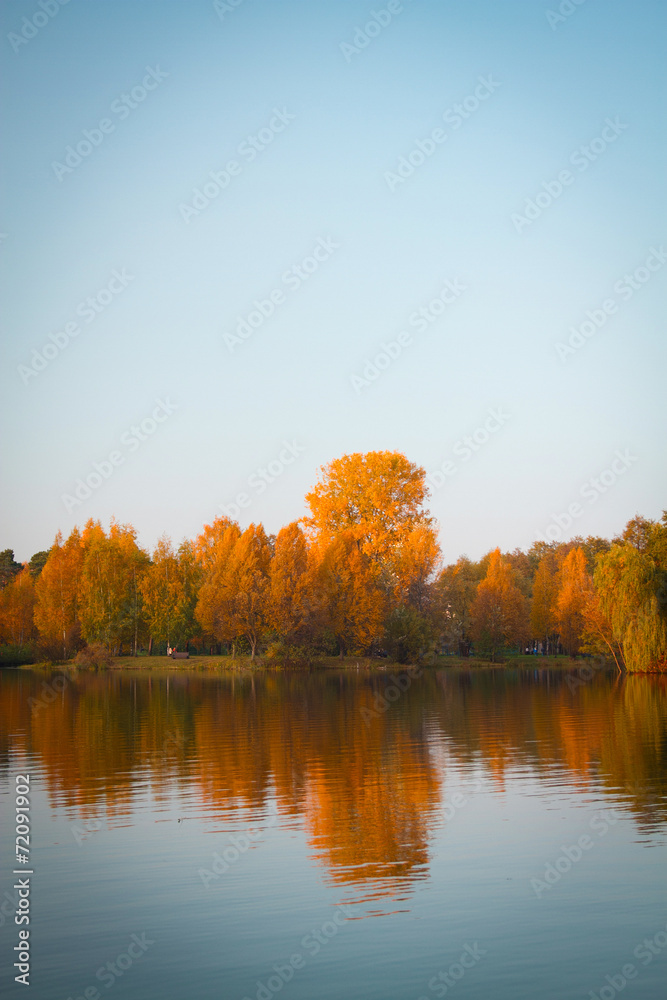 autumn in the park. autumn in the park.