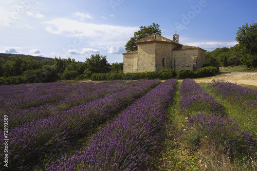Provence, Luberon, Viens St Ferreol photo