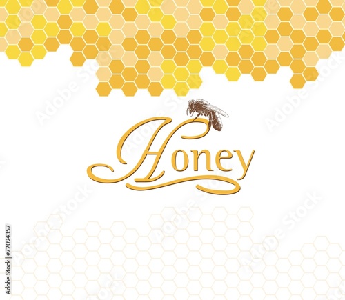 Honeybees on a comb