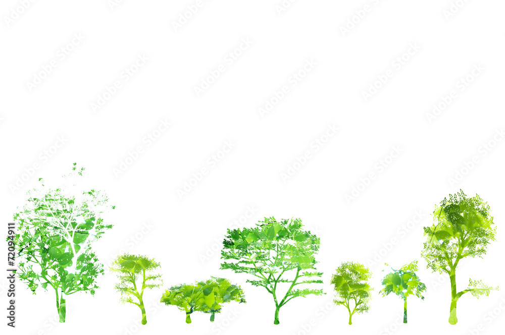 Obraz premium 木のイメージ 樹木 新緑 