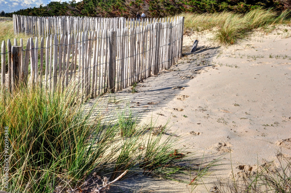Barrière de bois dans les dunes et ombres sur le sable