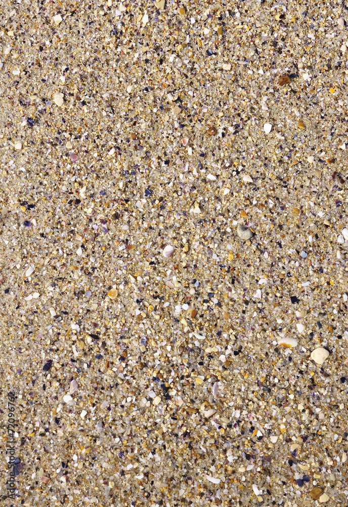 Wet sand with crushed sea shells Wet sand with crushed sea shells