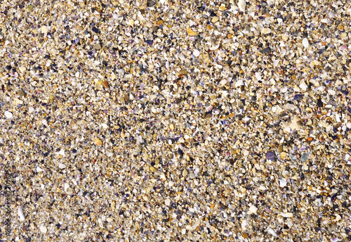 Wet sand with crushed sea shells