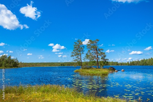 Fototapeta Naklejka Na Ścianę i Meble -  pines on the island in the lake