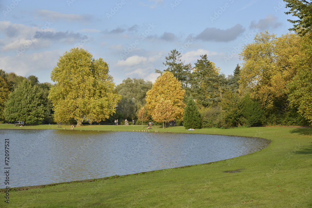 Rives du grand étang du parc de Tervuren en automne