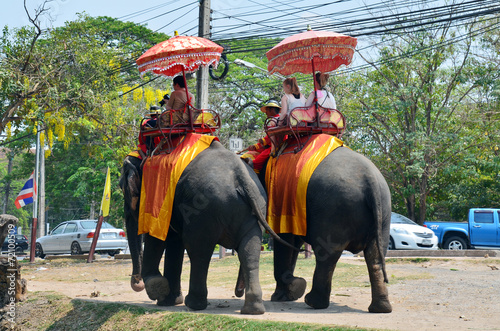 Foreigner traveller riding Thai Elephants tour Ayutthaya © tuayai