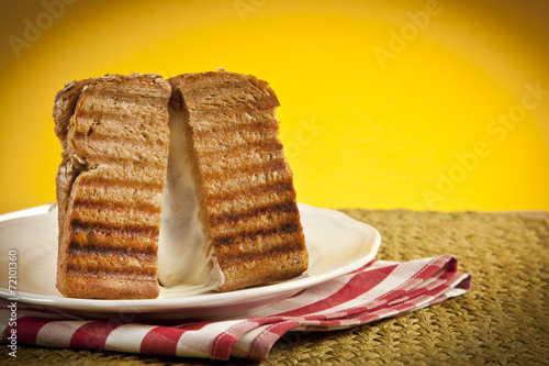 Photography Toasted cheese sandwich with melting cheese oozing out.