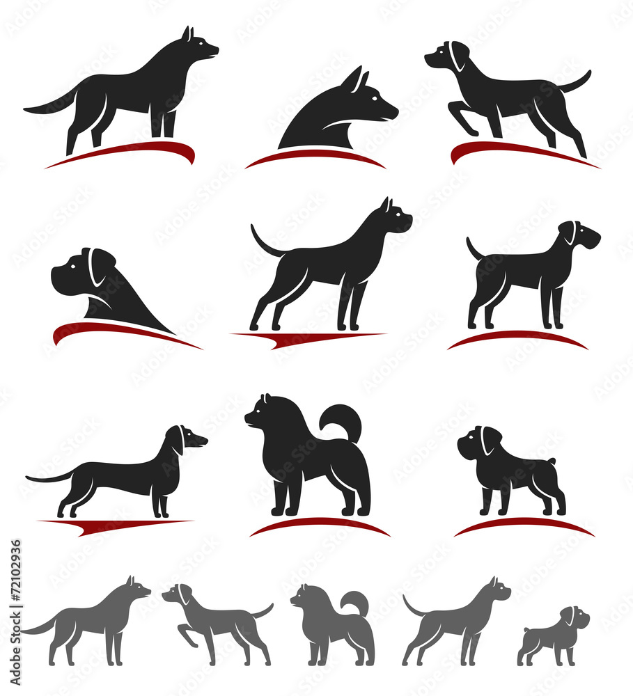 Dogs set. Vector
