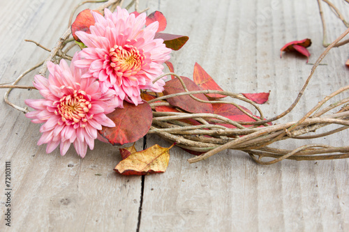 autumn flowers photo