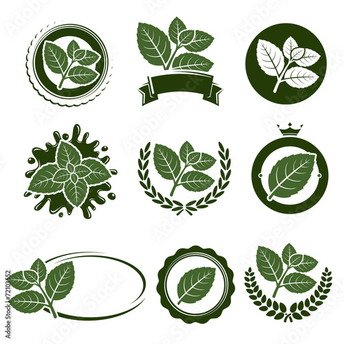Mint leaves label set. Vector