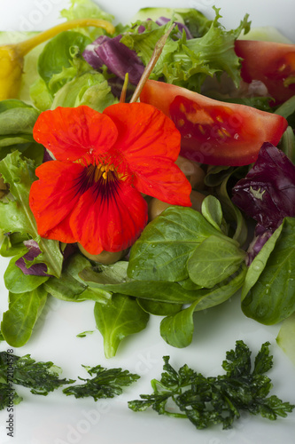 Salat mit essbaren Blüten photo