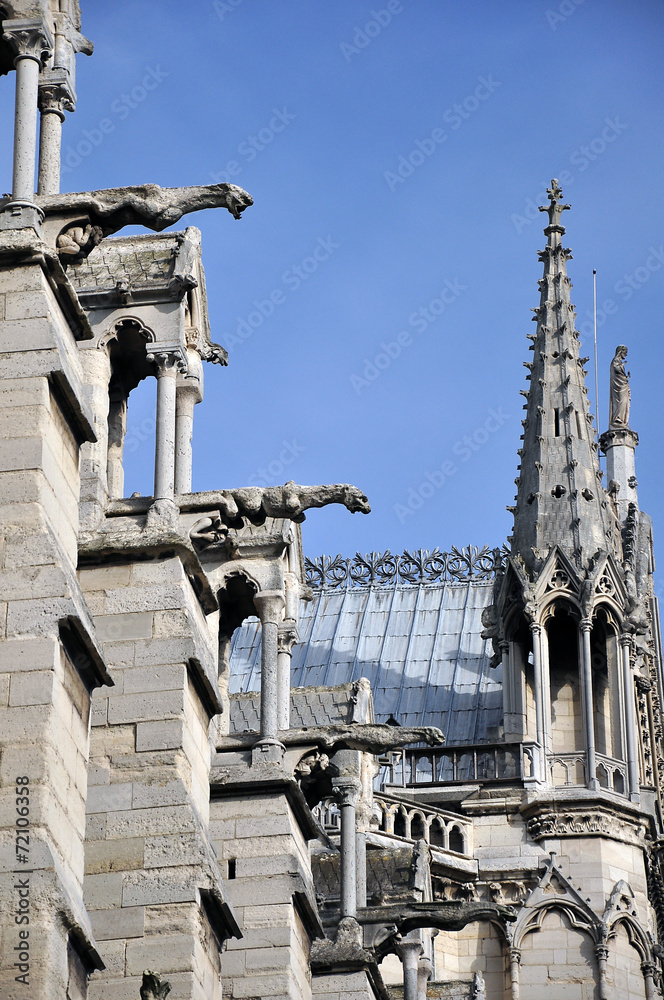 Fototapeta premium Notre Dame