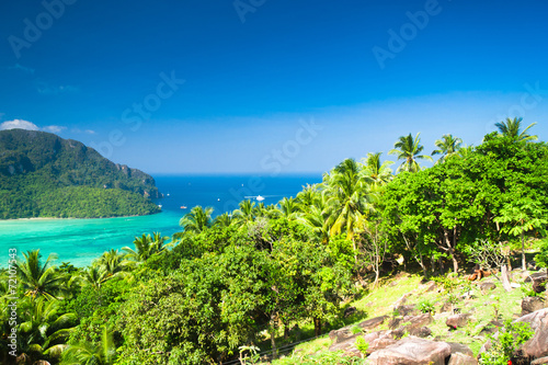 Exotic Backdrop Palm Island © alma_sacra