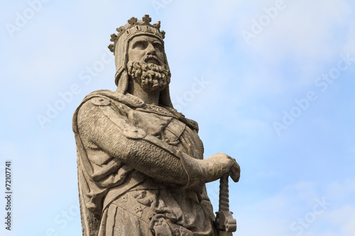 Robert the Bruce, King of Scots photo