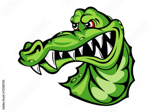 Wild alligator
