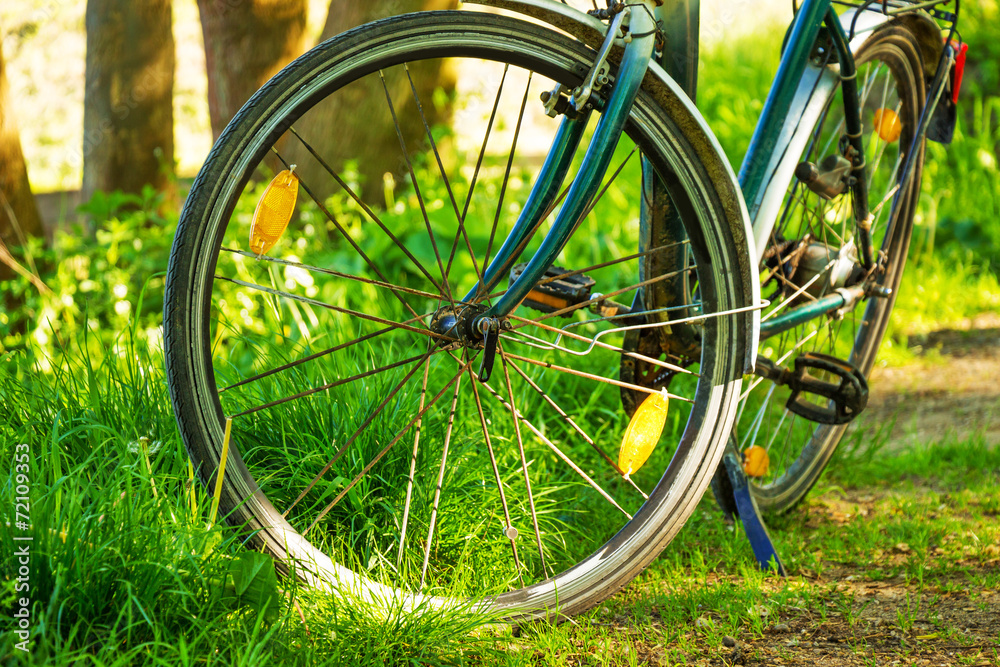 Bike in the forest Bike in the forest