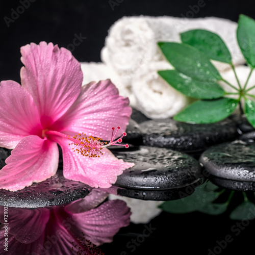 spa concept of delicate pink hibiscus  green leaf shefler with d