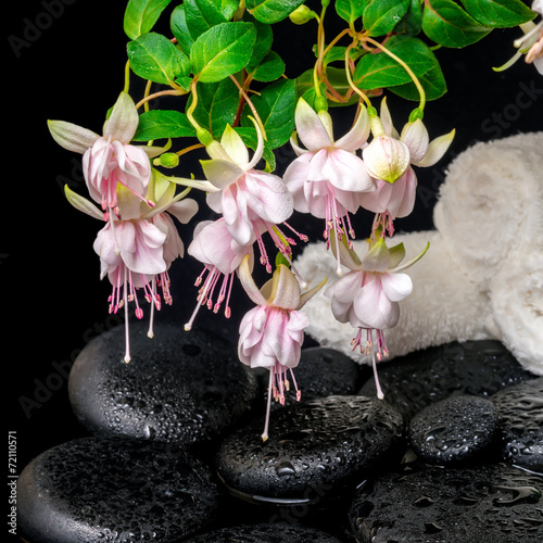 spa concept of branch fuchsia flower, towels, leaf shefler and z photo