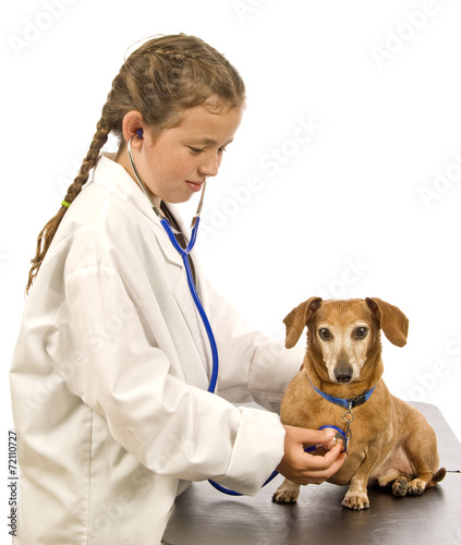 Fototapeta Naklejka Na Ścianę i Meble -  Little Girl Pretending To Be A Veterinarian