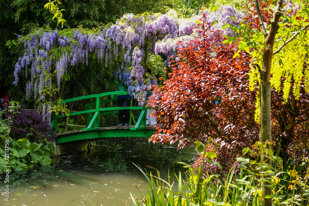 Fototapeta Wiosenne ogrody Giverny, Francja