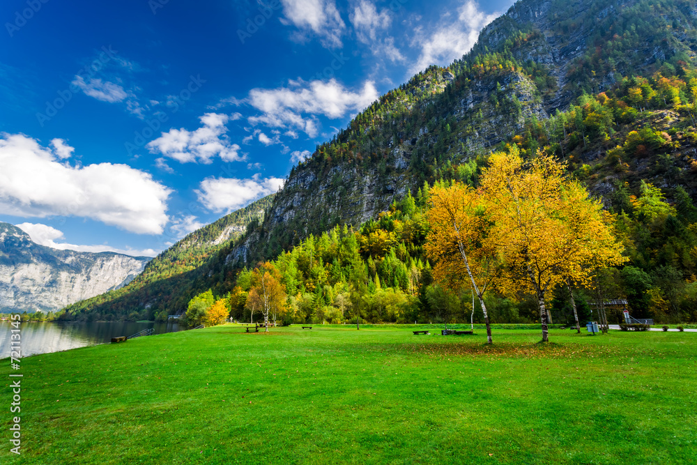 Autumn colors in the mountain forest