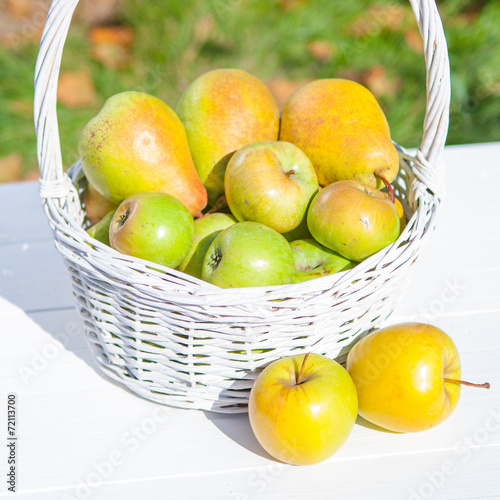 Apples in basket