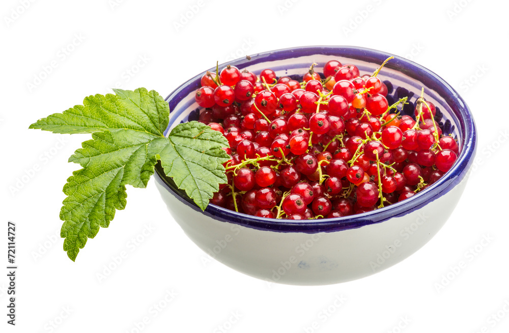 Red currant Red currant