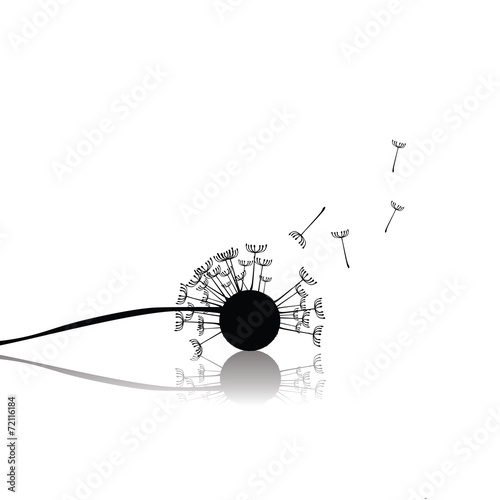 Dandelion