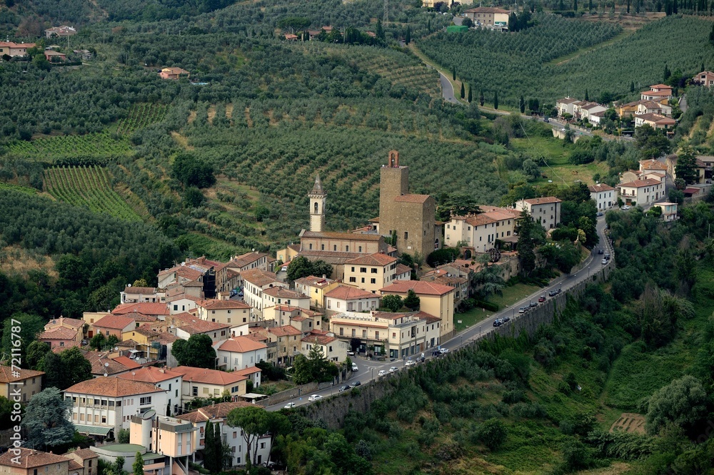 Naklejka premium Vinci-Italy