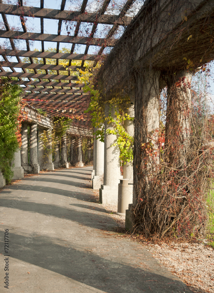 Obraz premium Pergola jesienna