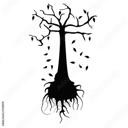 withering tree