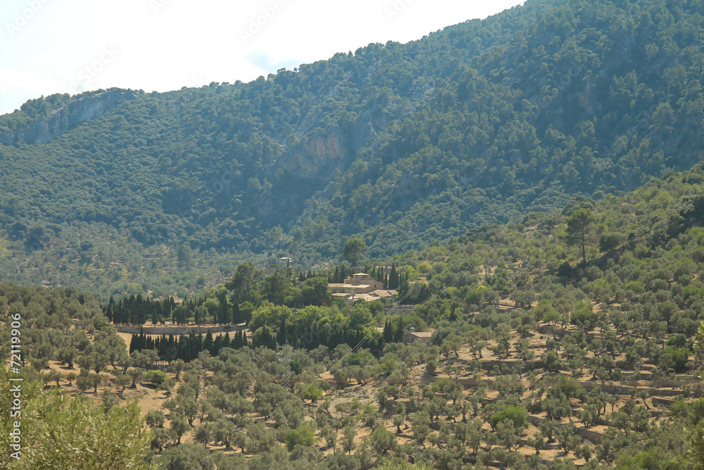 Landscape from Palma