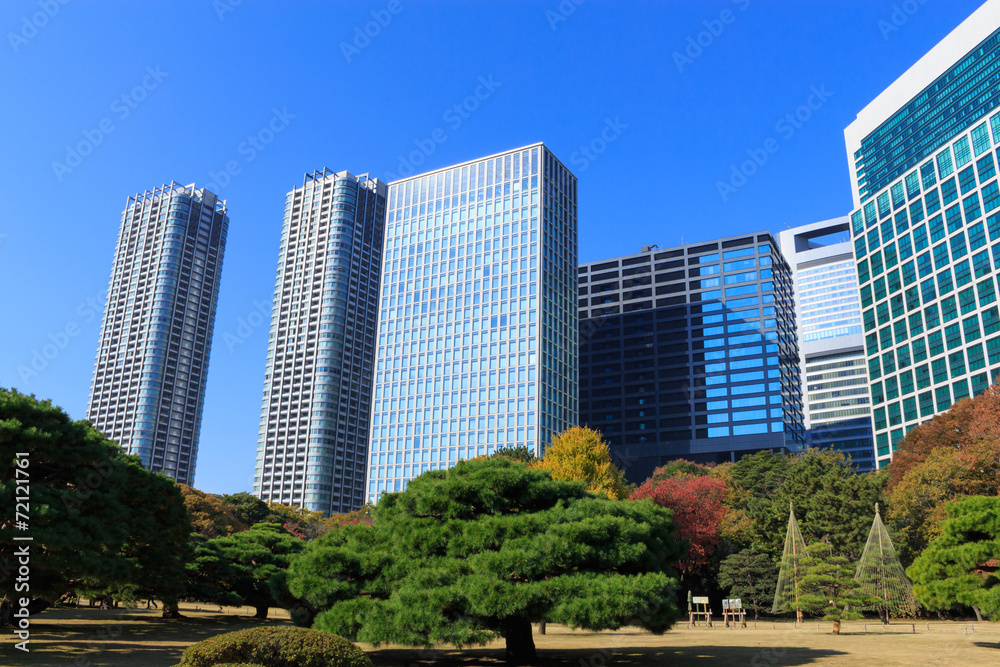 Autumn leaves in Hamarikyu Gardens, Tokyo