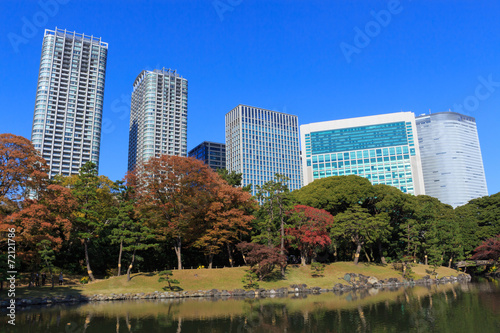 Autumn leaves in Hamarikyu Gardens  Tokyo