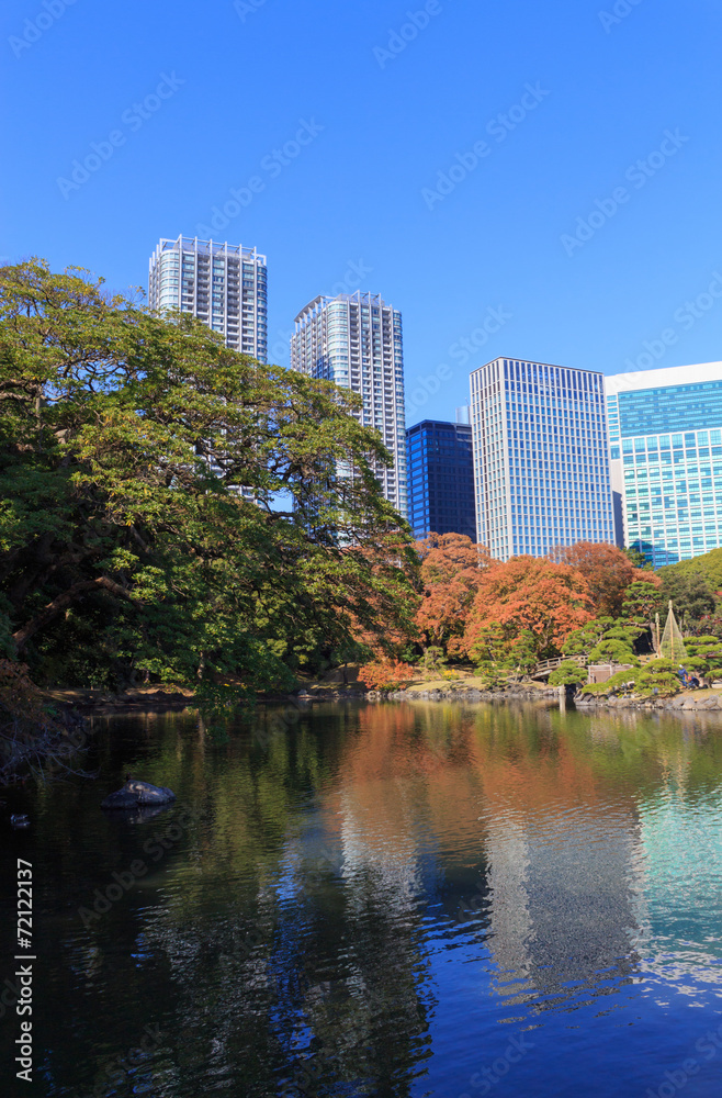 Autumn leaves in Hamarikyu Gardens, Tokyo Autumn leaves in Hamarikyu Gardens, Tokyo