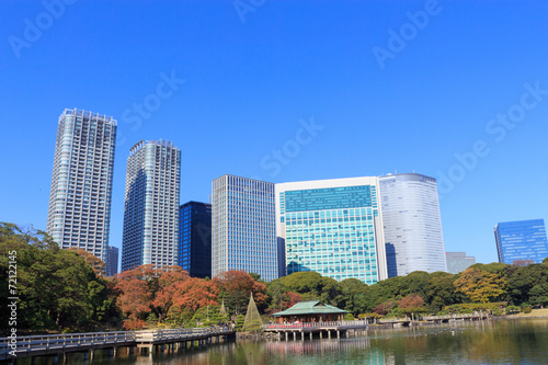 Autumn leaves in Hamarikyu Gardens  Tokyo