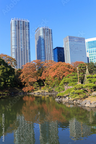 Autumn leaves in Hamarikyu Gardens, Tokyo © Scirocco340