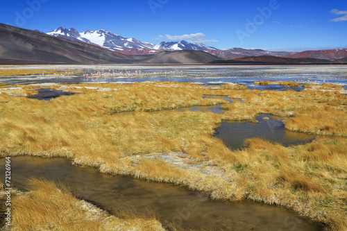 Black lagoon (Laguna Negra), volcano Pissis, Catamarca, Argentin © sunsinger