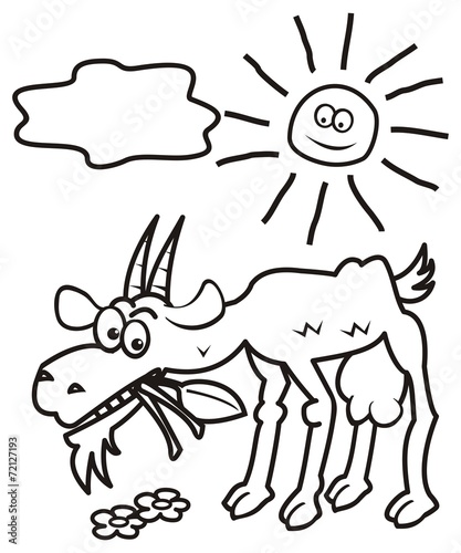 goat and sun