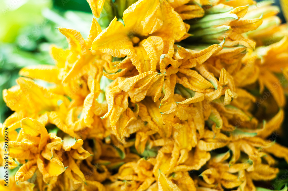 Edible pumpkin flowers on market Edible pumpkin flowers on market