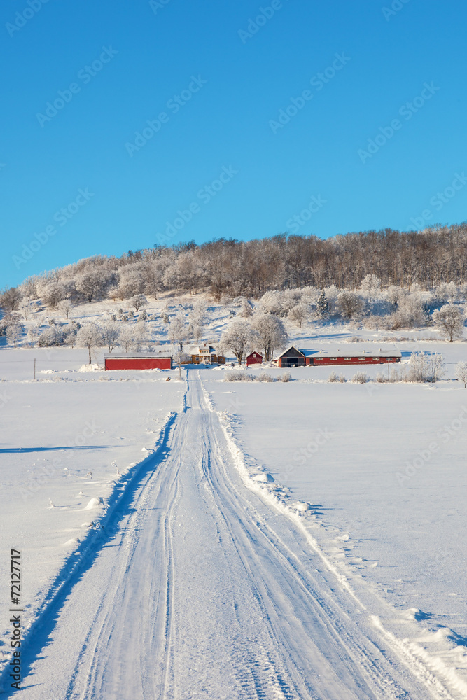 Winter dirt road