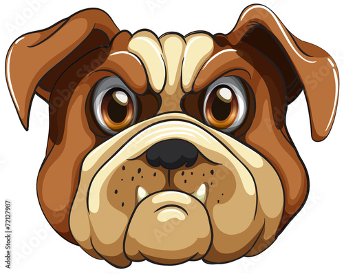 Bulldog