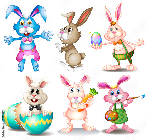 Rabbits