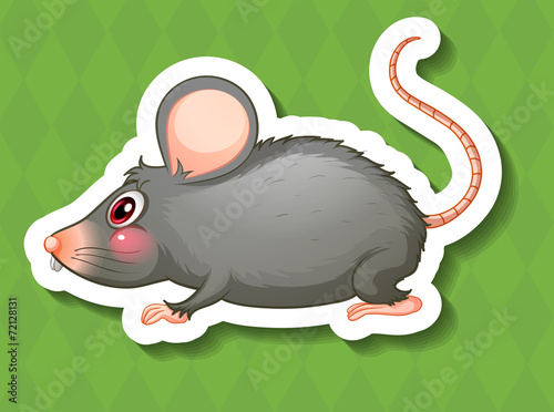 Mouse