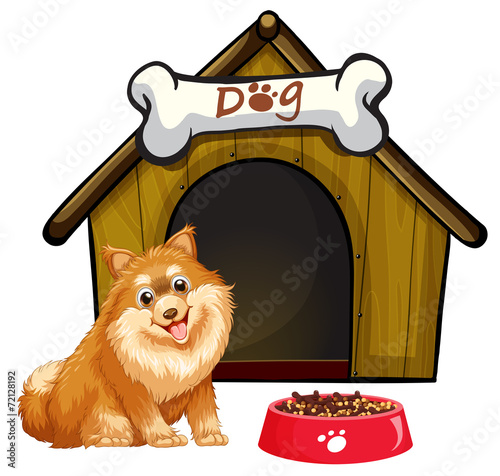 Dog and house