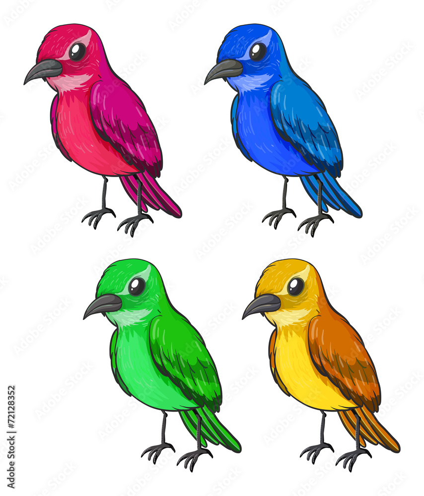 Fototapeta premium Bird